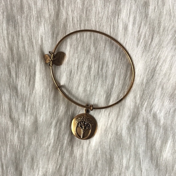 Alex and Ani Bracelet - Picture 4 of 5